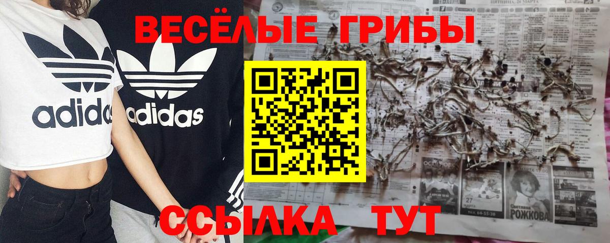 Галлюциногенные грибы MAGIC MUSHROOMS  Галлюциногенные грибы Psilocybine cubensis  Вход с VPN  наркота  Дедовск 